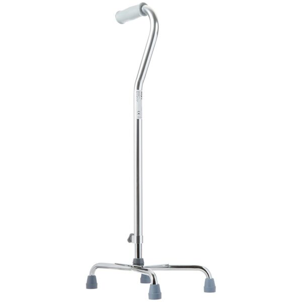 Cane - Image 3