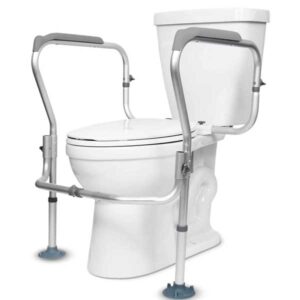 Raised Toilet Seat